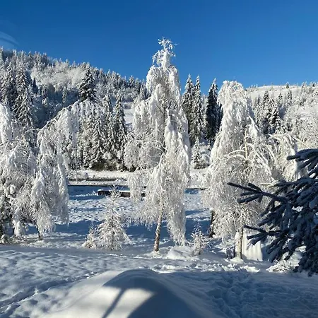 Plavianska *
