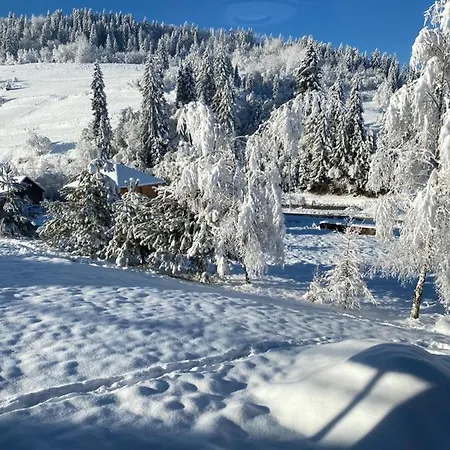 Guest house Plavianska