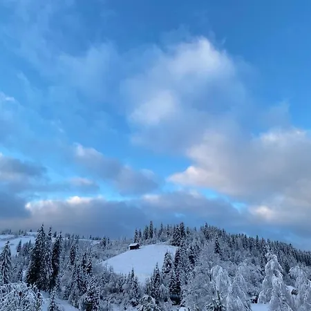 Plavianska Гостевой дом